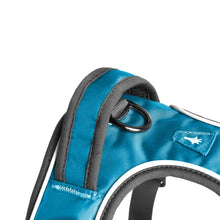 Load image into Gallery viewer, Mesa Dog Harness - Handle