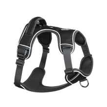 Load image into Gallery viewer, Mesa Dog Harness - Black