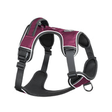 Load image into Gallery viewer, Mesa Dog Harness - Plum
