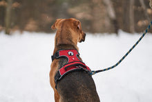 Load image into Gallery viewer, Mesa Dog Harness