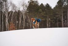 Load image into Gallery viewer, Traverse Dog Backpack - On Dog