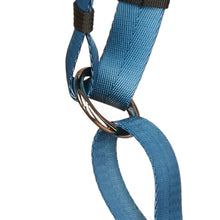Load image into Gallery viewer, Anchor Dog Harness - O-Ring
