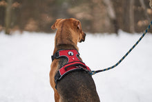 Load image into Gallery viewer, Mesa Dog Harness
