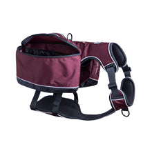 Load image into Gallery viewer, Traverse Dog Backpack - Plum
